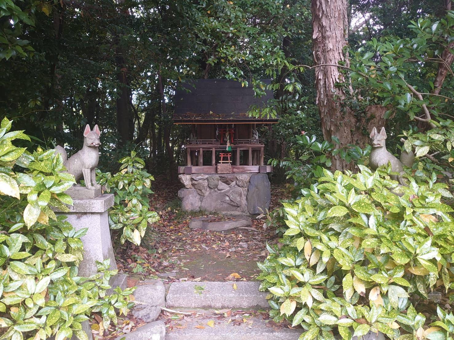 和伎座天乃夫岐売神社（涌出宮）